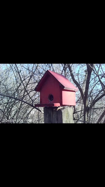 Mini Compact Video Camera 1080P